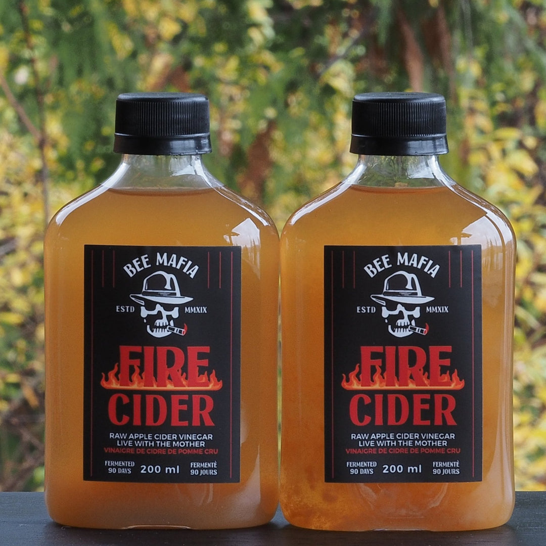 2 Bottle of Bee Mafia Fire Cider with Trees in the background.