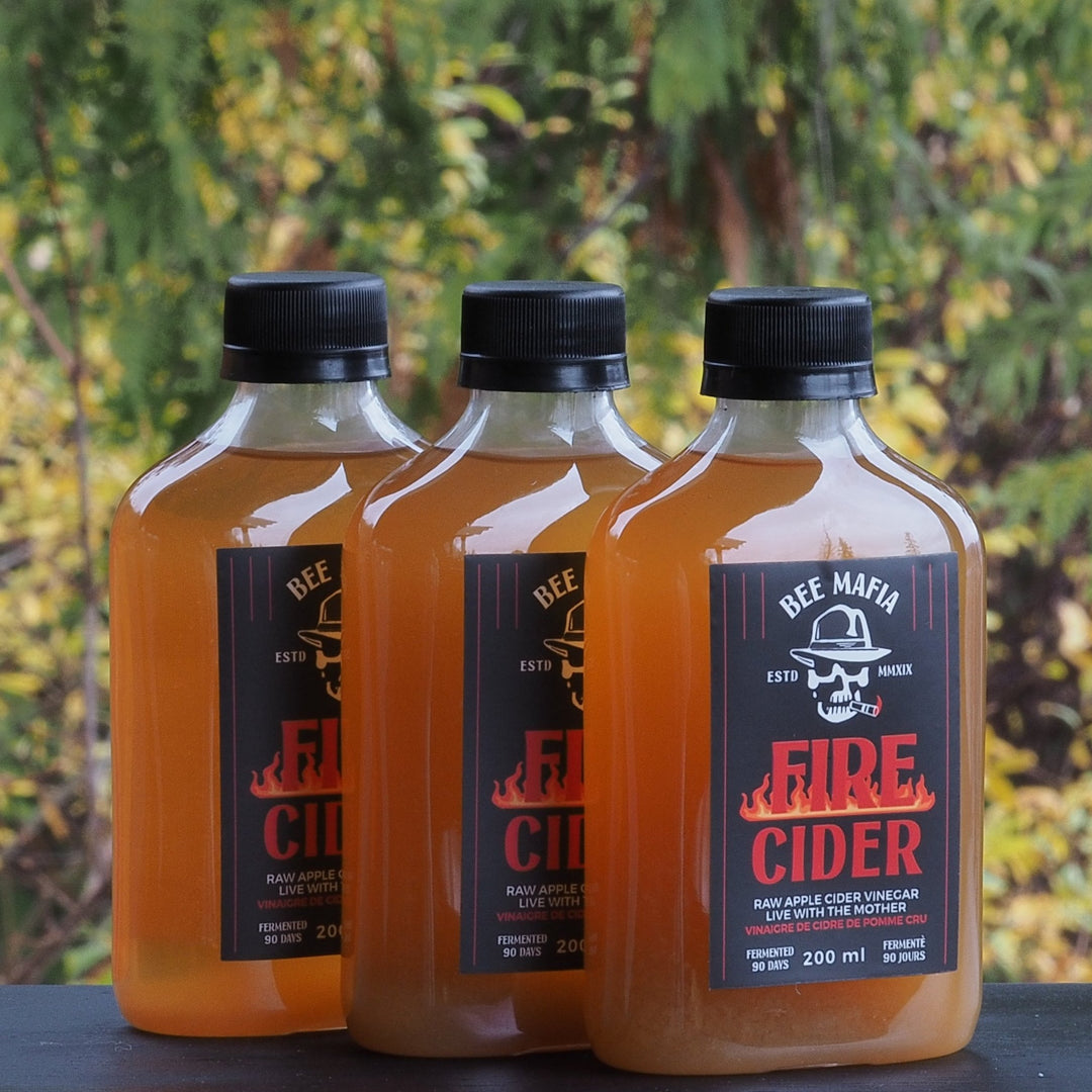 3 Pack of Fire Cider bottles outside with Trees in background.