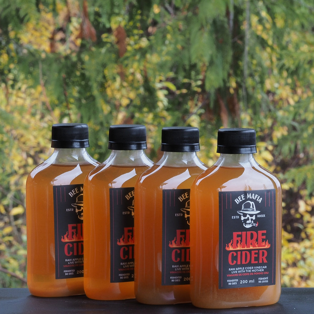 Canadian Fire Cider made my Bee Mafia Honey outside four pack of bottles with trees in background