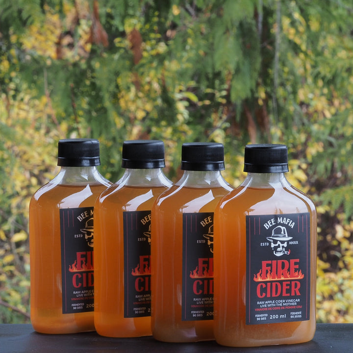 Canadian Fire Cider made my Bee Mafia Honey outside four pack of bottles with trees in background